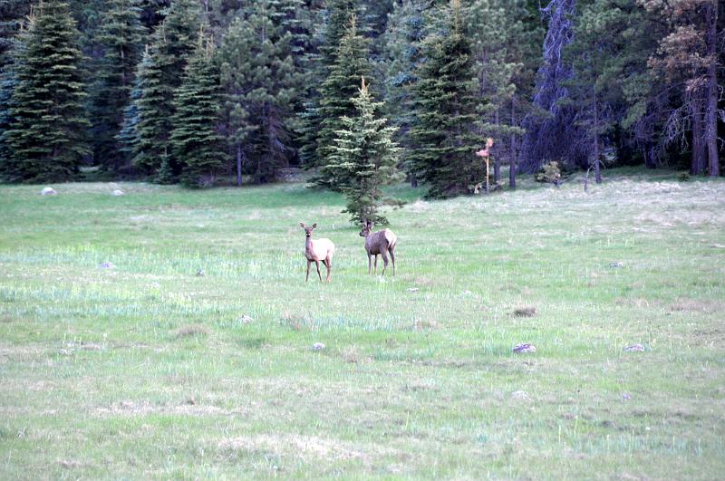 1006111910-Baldy 086.jpg